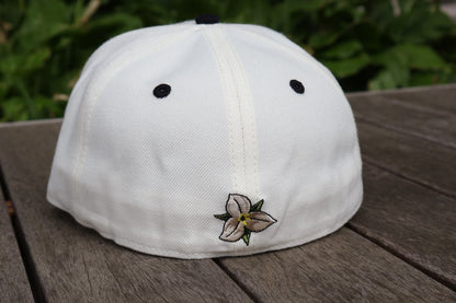 Torontohatguy Two Tone Fitted