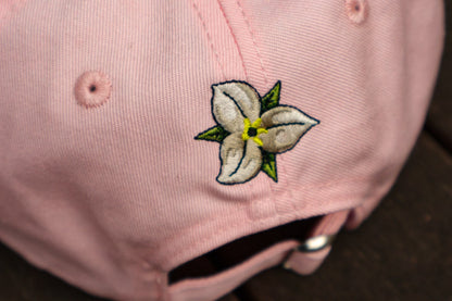 Dad Caps Pink